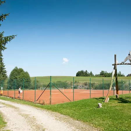 Apartmán Reichenbach - Bgm.-martin-str. 11a/4 *